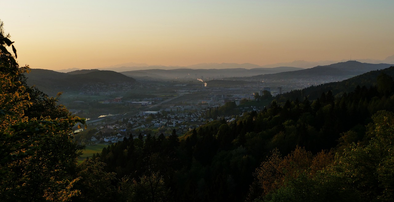 landscape  nature  morning sun free photo