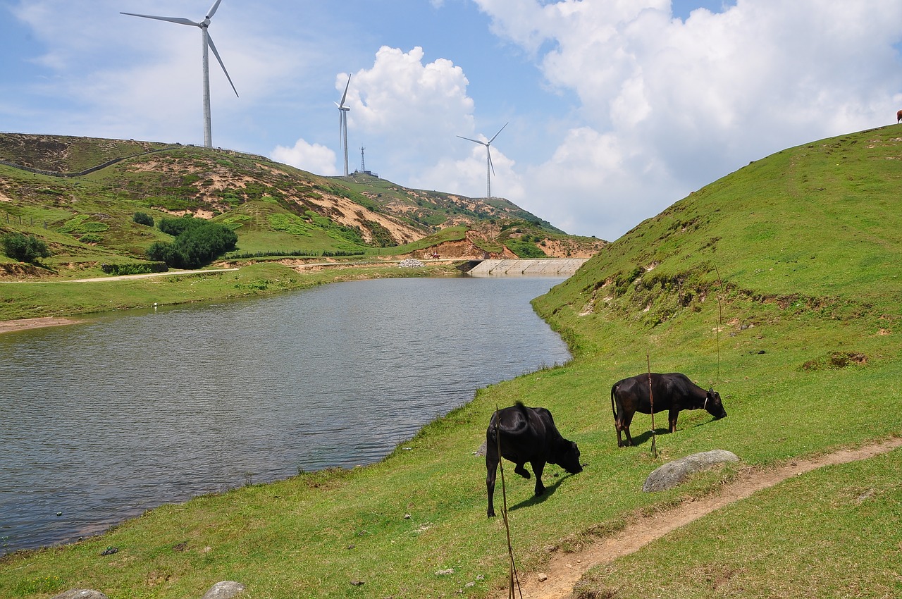 landscape  water  farm free photo