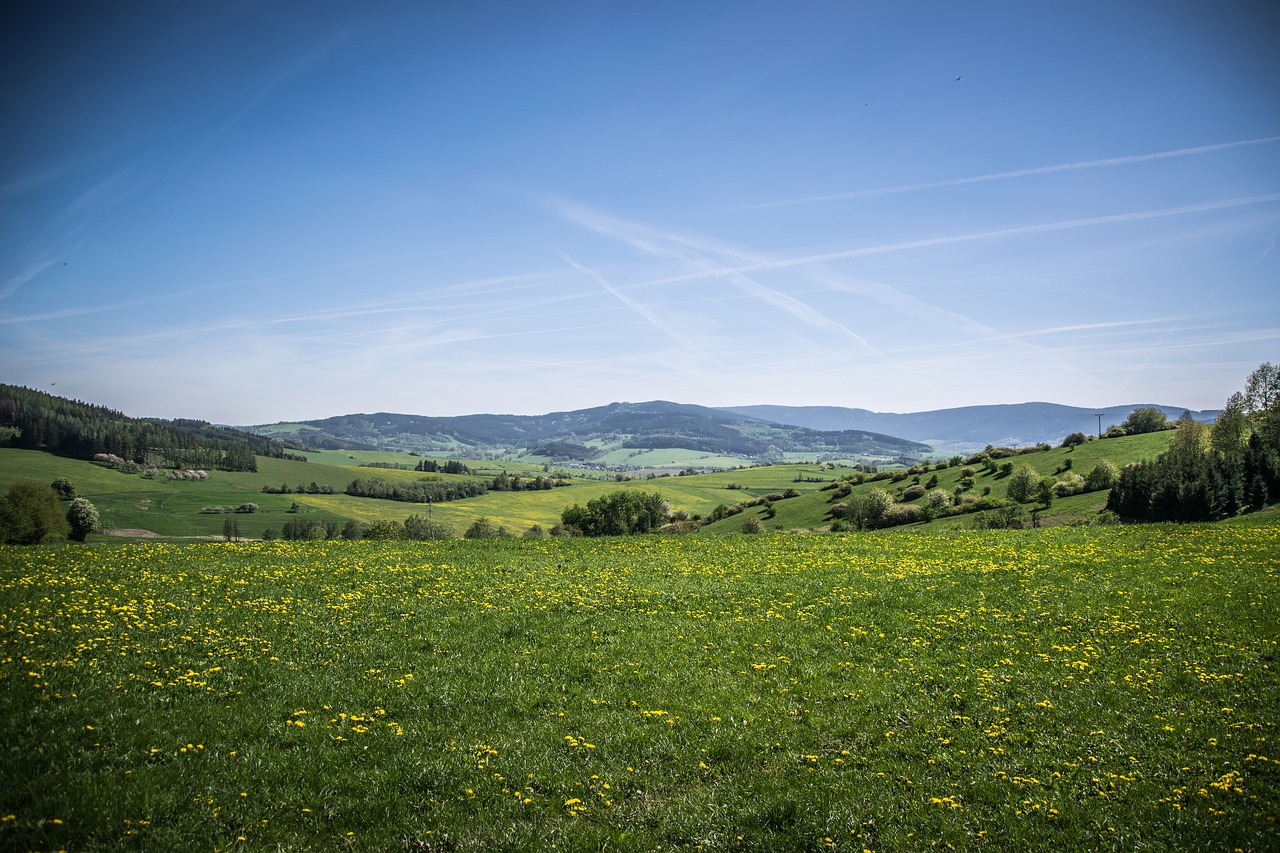 landscape  meadows  sky free photo