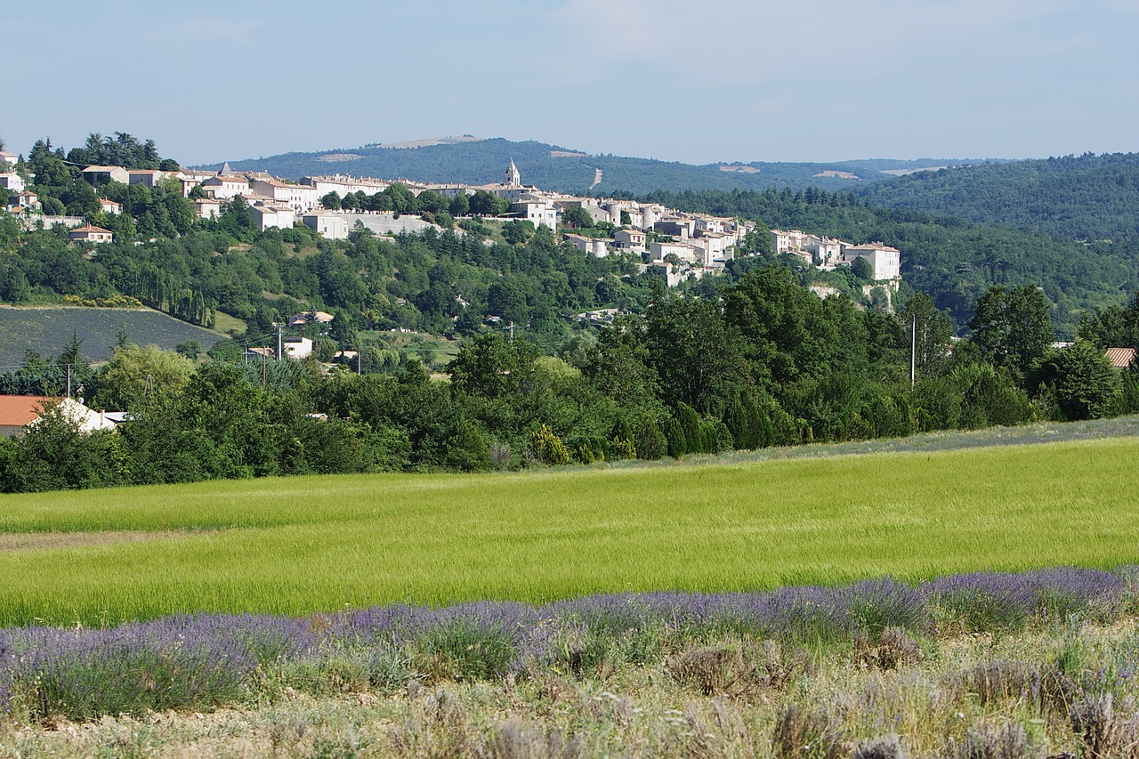 landscape  panoramic  nature free photo