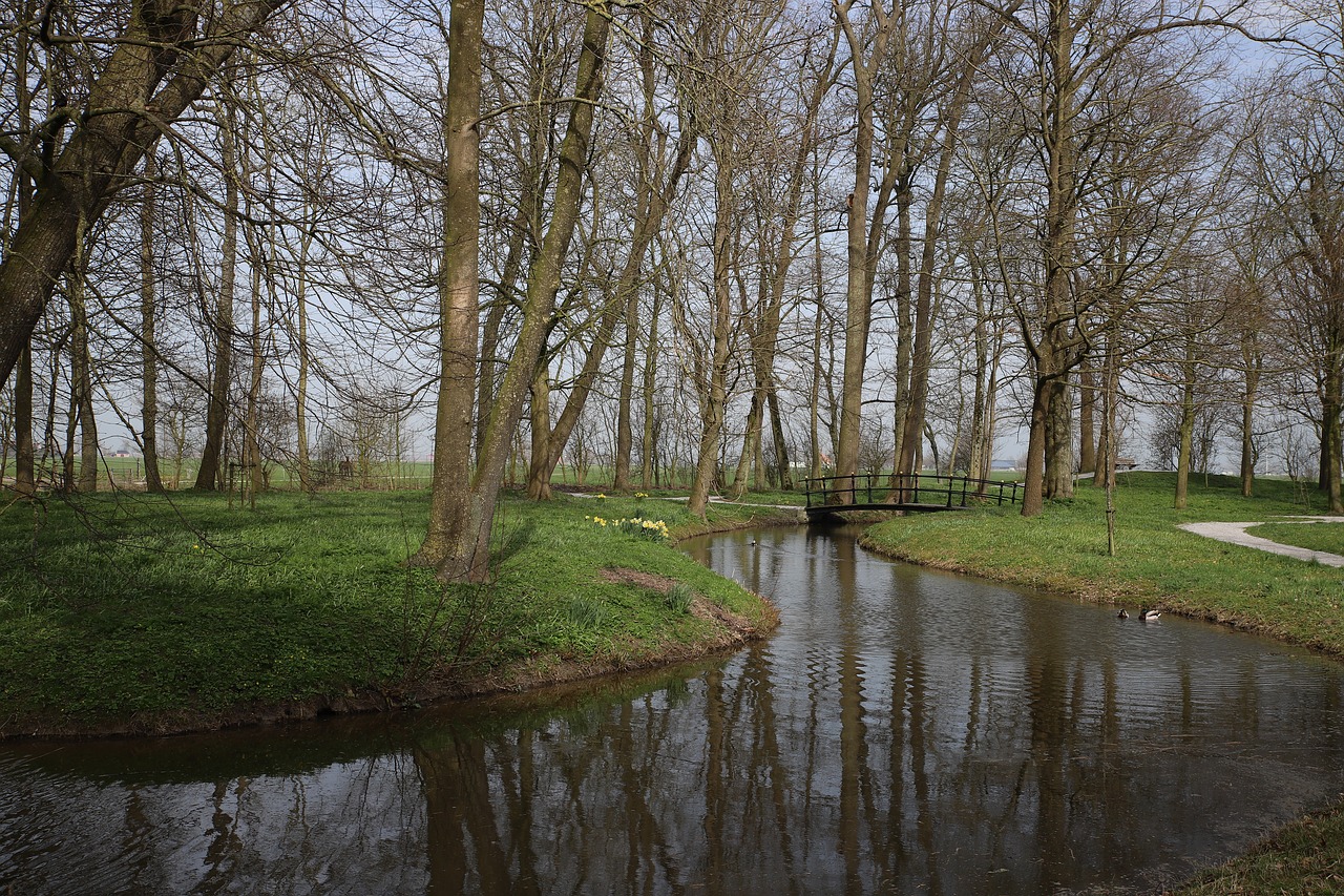 landscape  nature  pond free photo