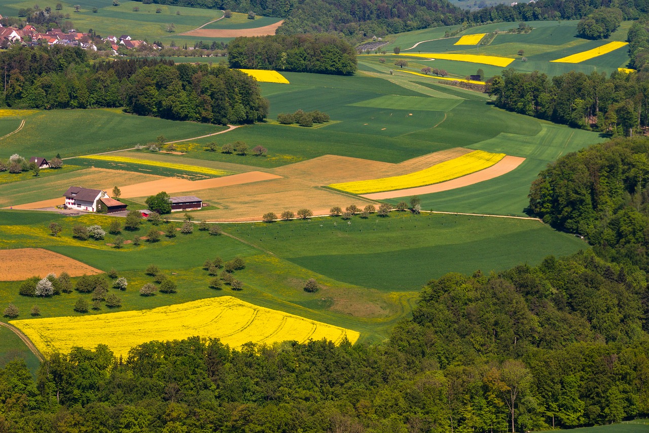 landscape  fields  green free photo