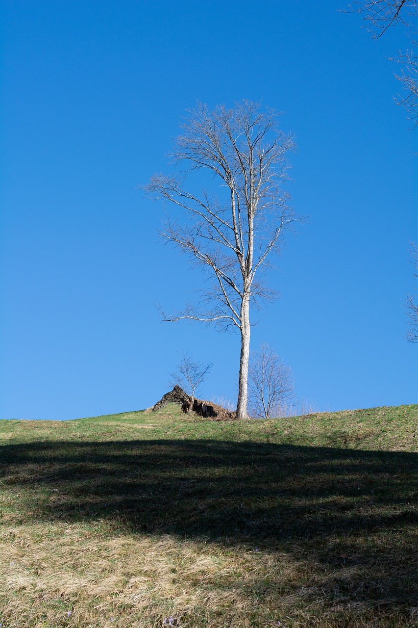 landscape  nature  sky free photo