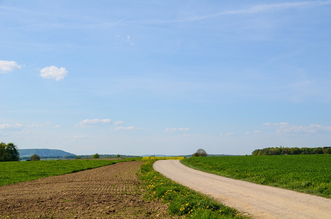 landscape  road  away free photo