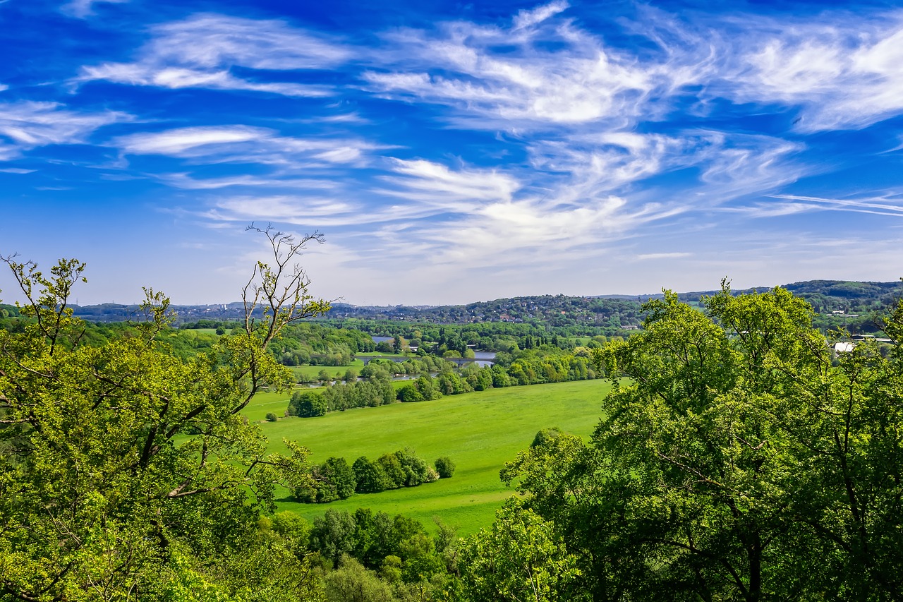 landscape  germany  nature free photo