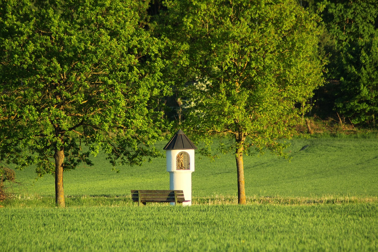 landscape  idyll  nature free photo