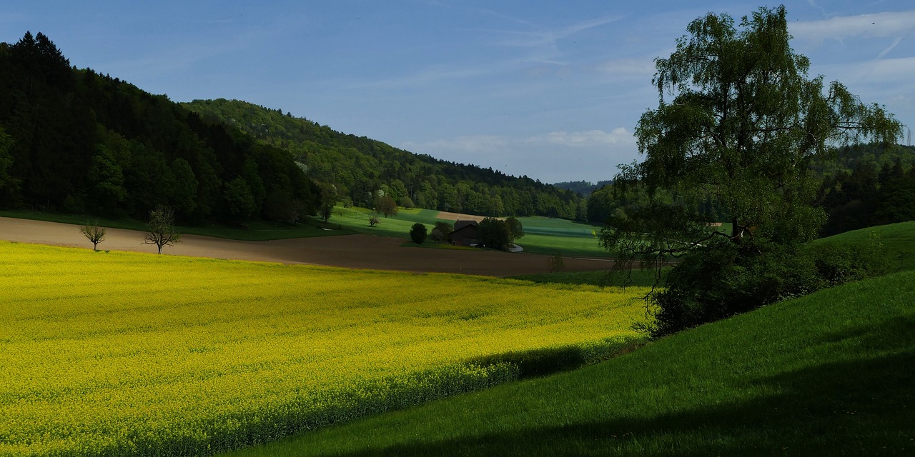 landscape  nature  fields free photo