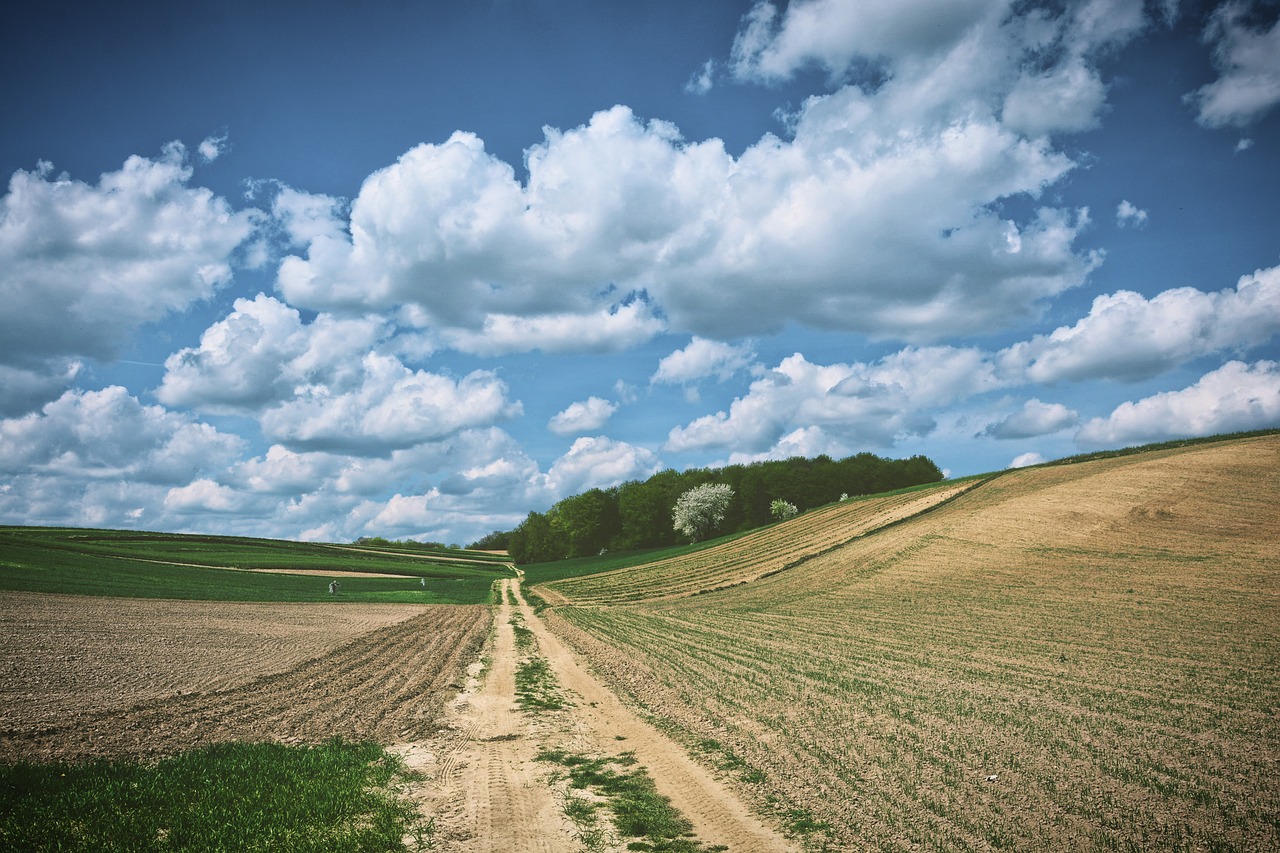 landscape  sky  spring free photo