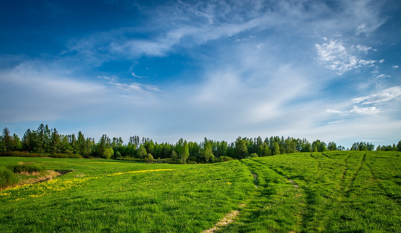 landscape  sky  field free photo