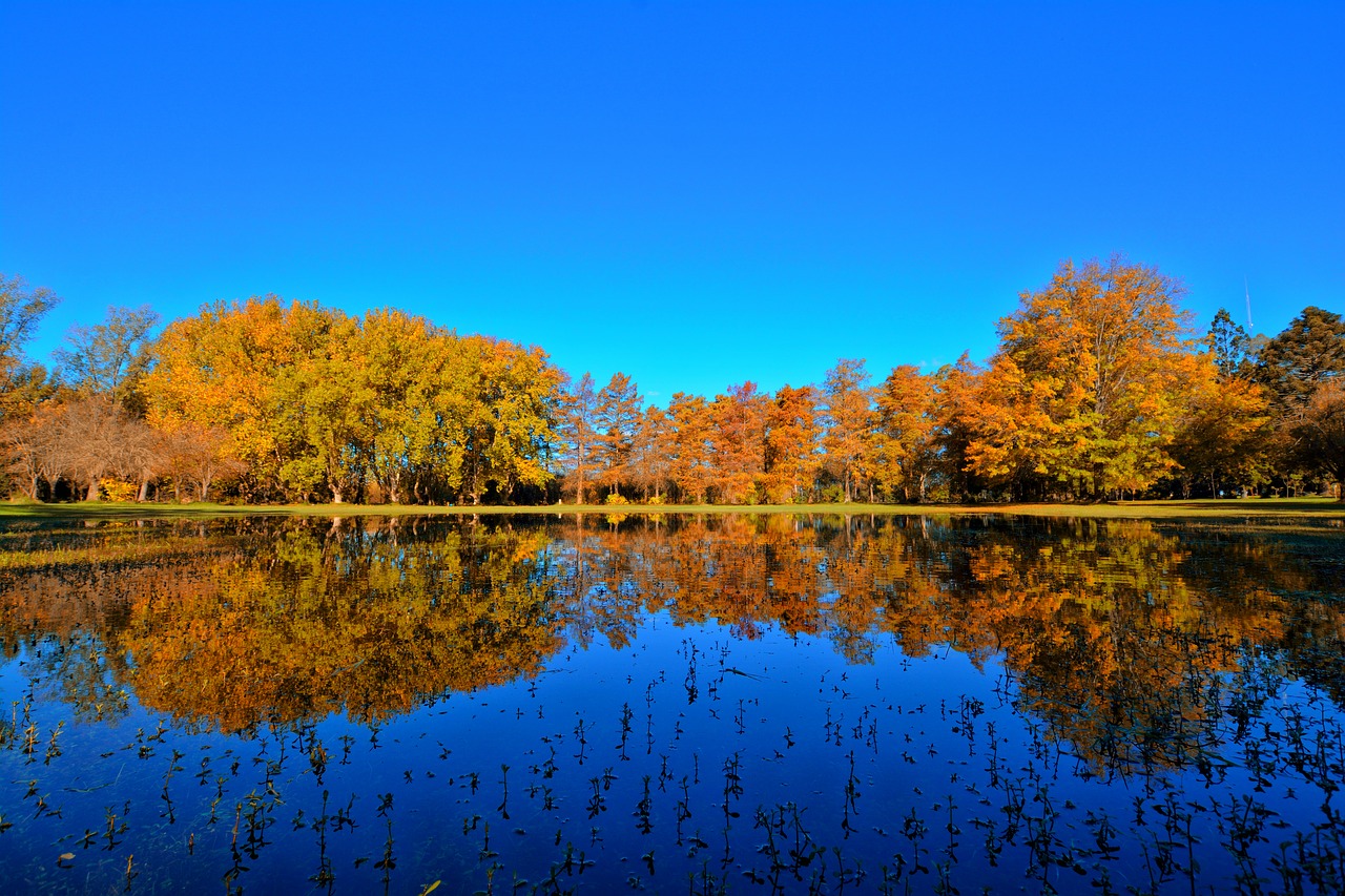 landscape  reflection  autumn free photo