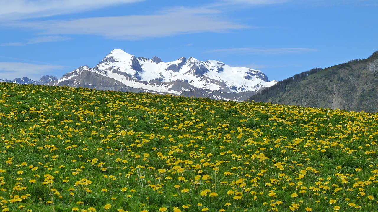 landscape mountain nature free photo