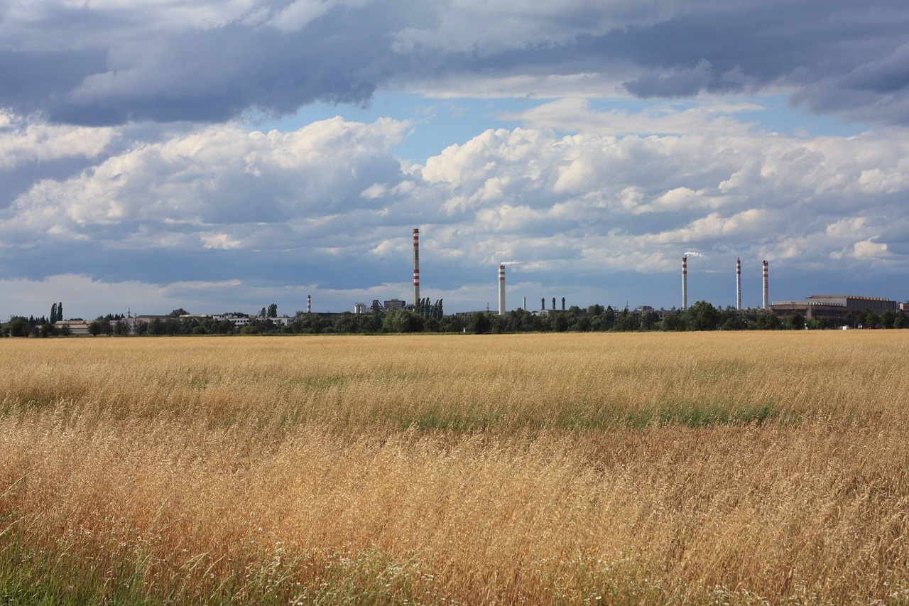 landscape  field  sky free photo