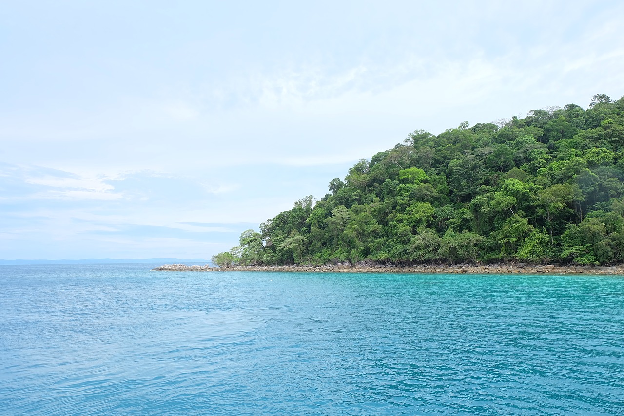 landscape  sea  seascape free photo