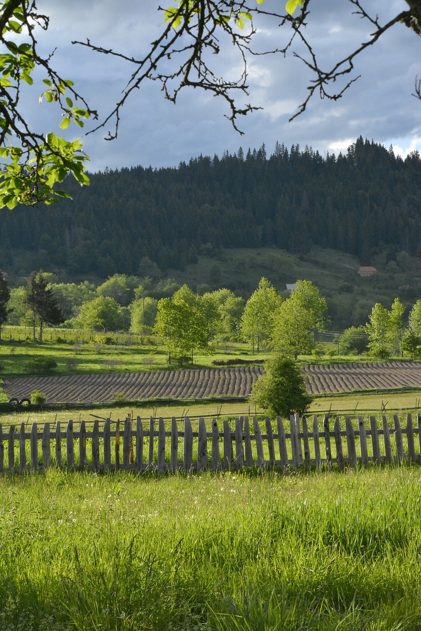 landscape  countryside  sunset free photo