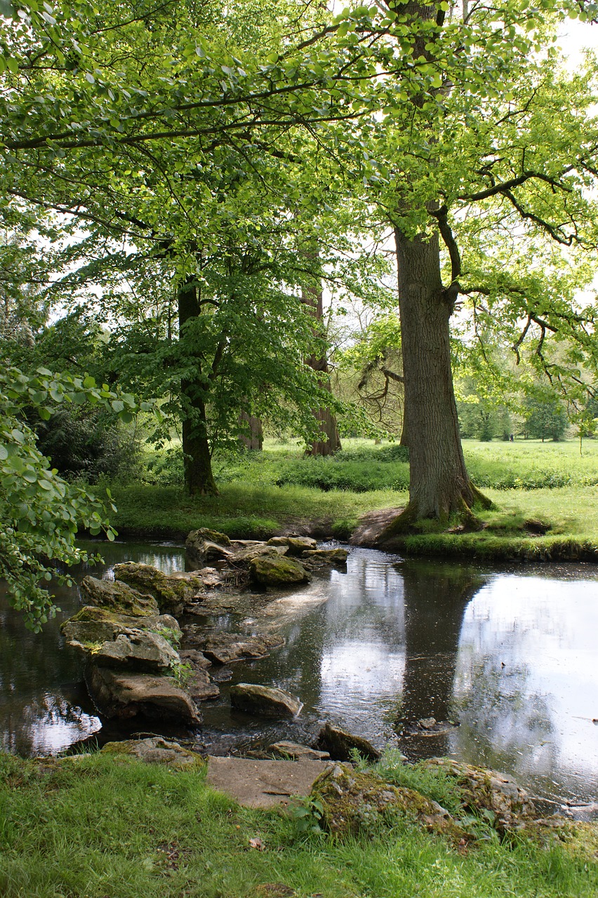 landscape  water  nature free photo