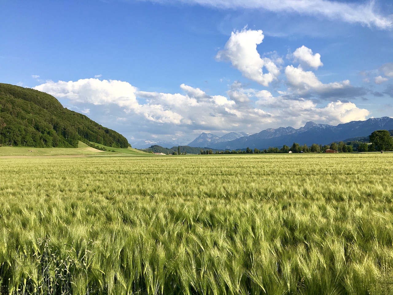 landscape  nature  switzerland free photo