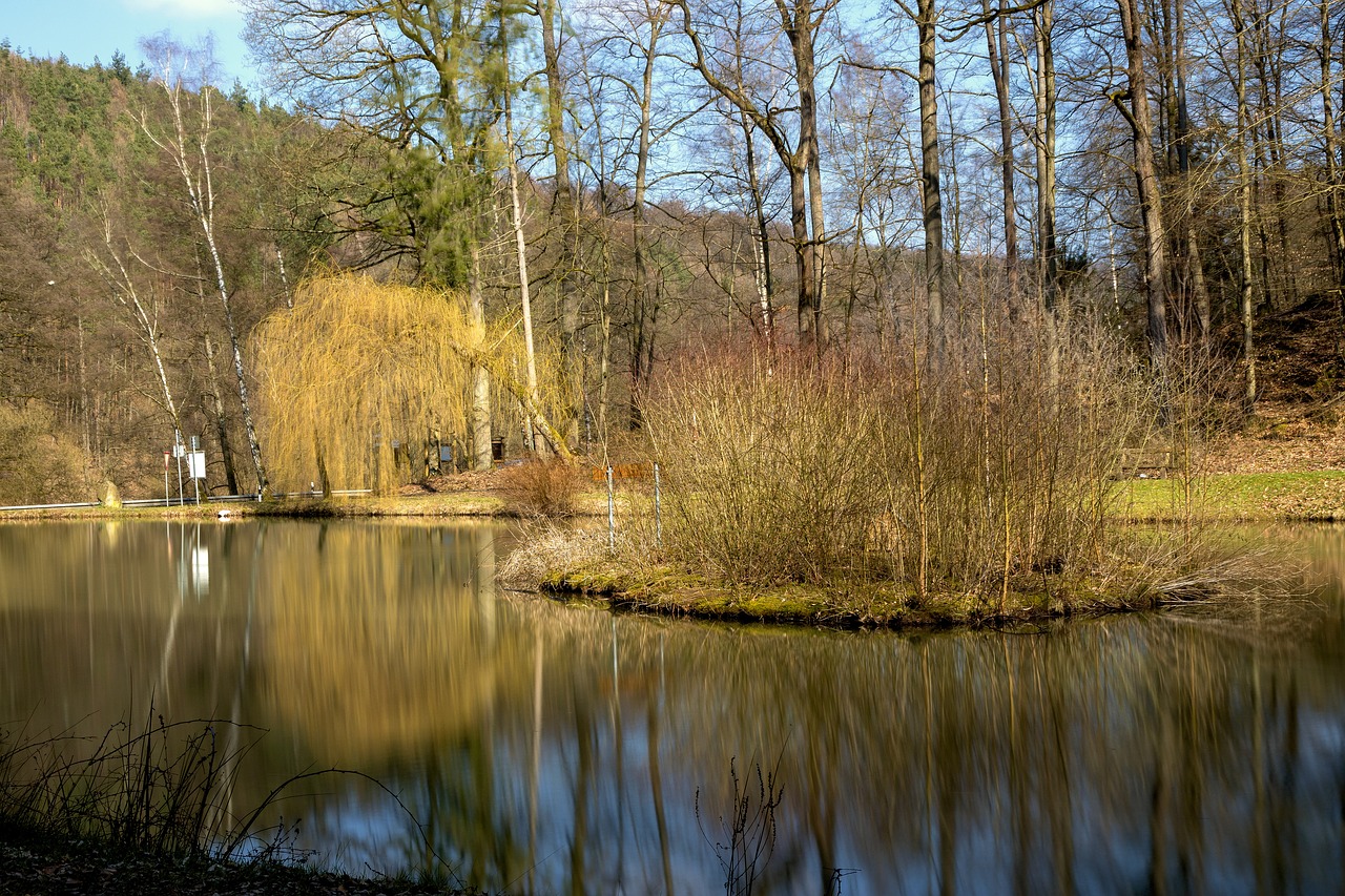 landscape  lake free pictures free photo