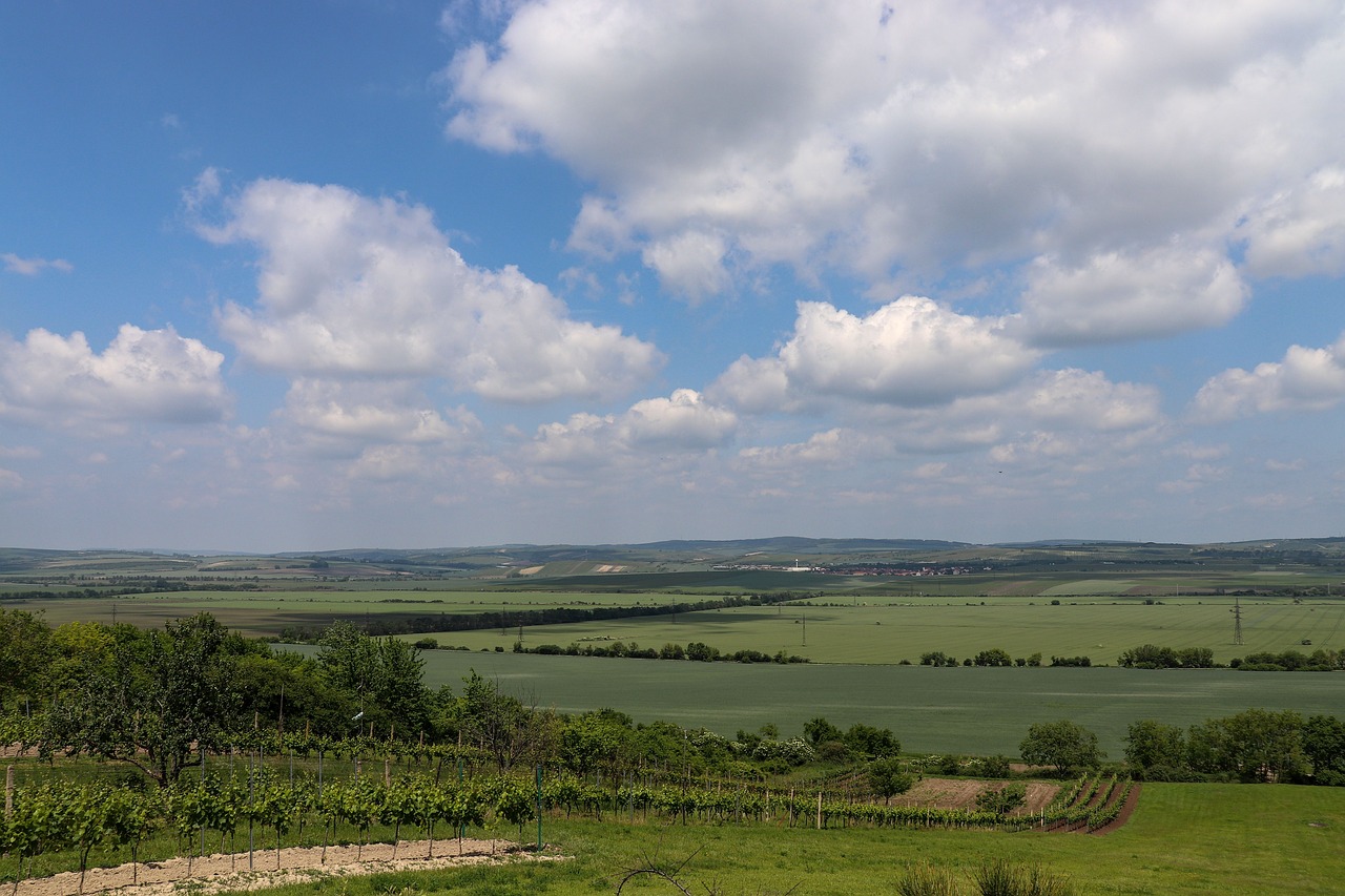 landscape  field  south moravia free photo