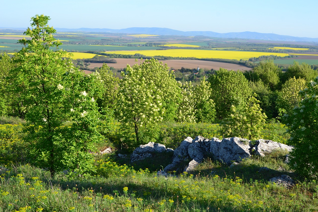 landscape  baranya  villany hills free photo