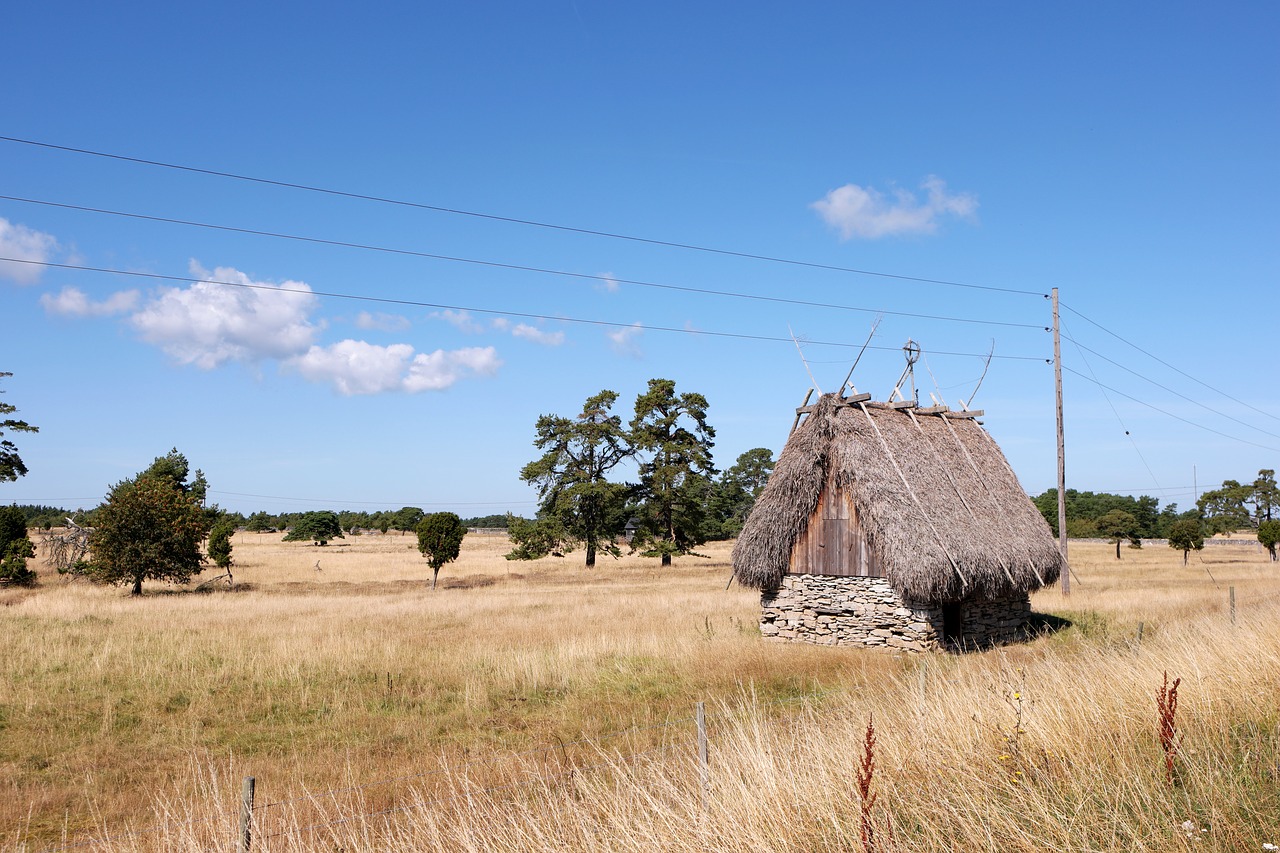 landscape  grass  summer free photo