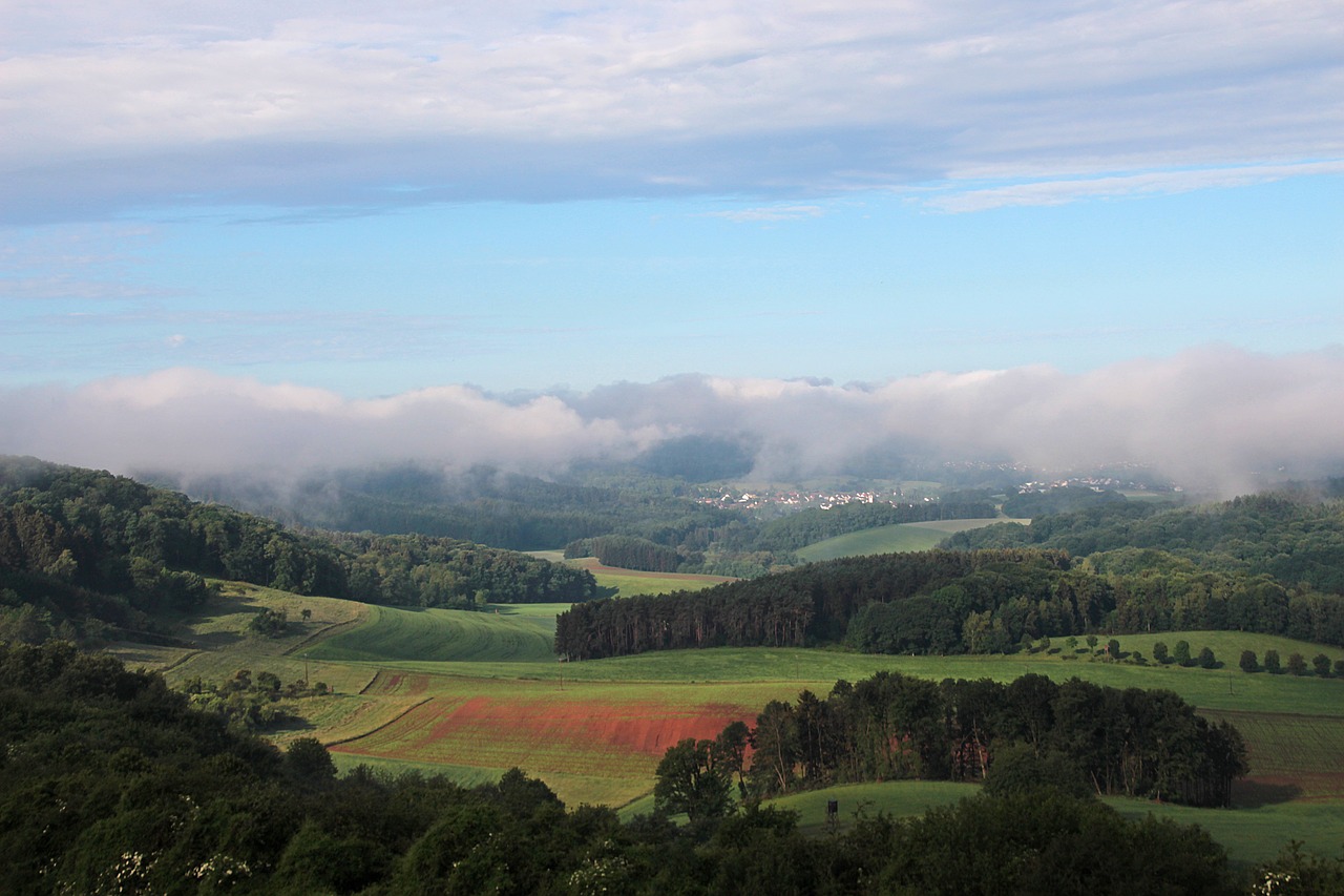 landscape  fog  forest free photo