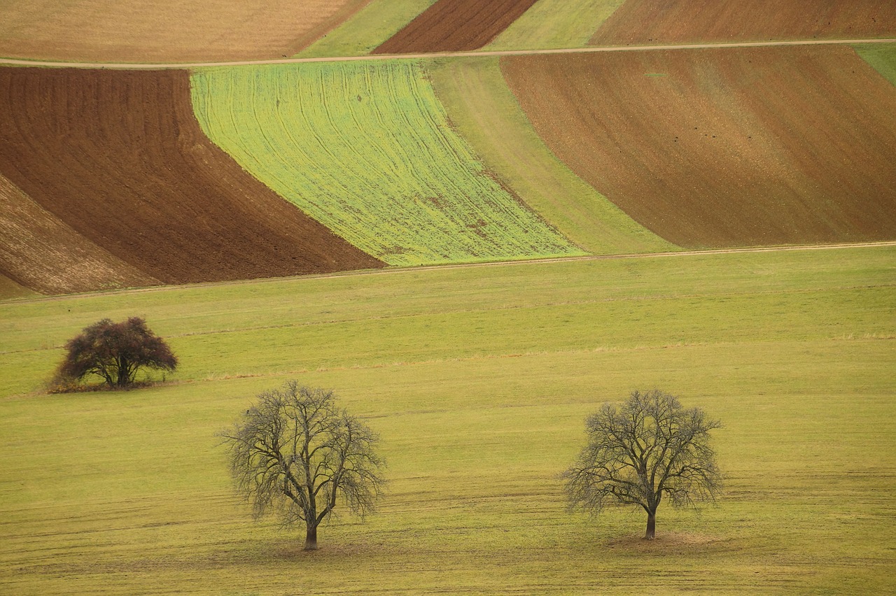 landscape  fields  nature free photo