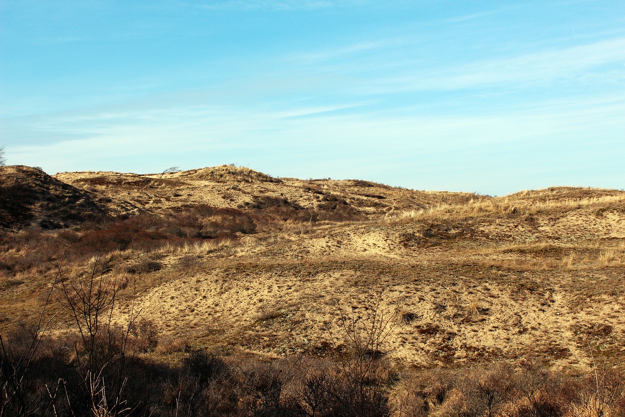 landscape  dune  north sea free photo