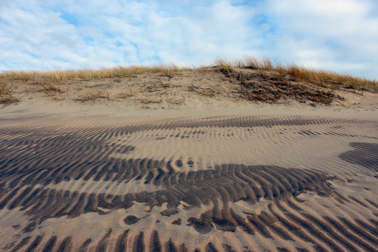 landscape  dune  north sea free photo