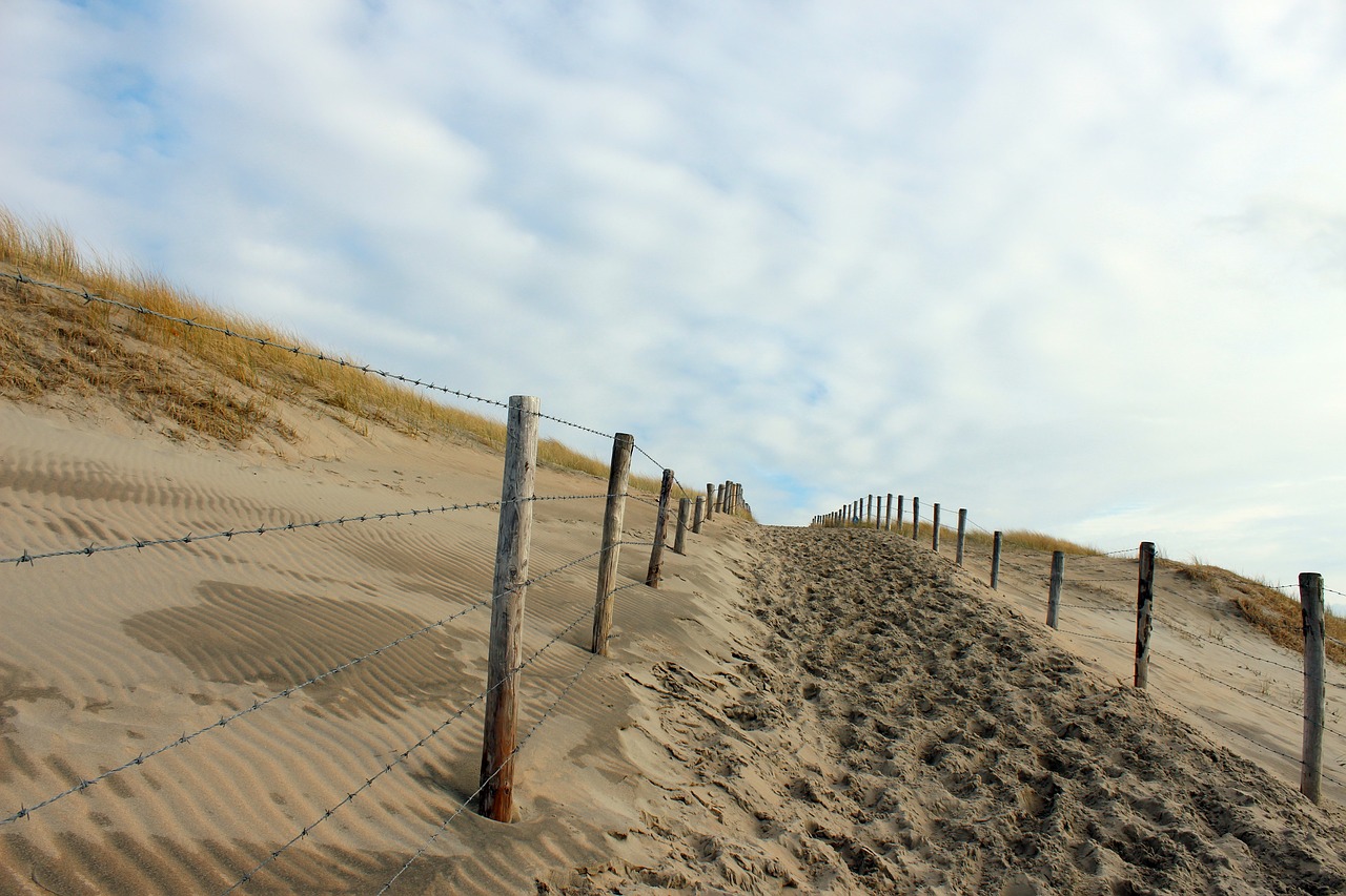 landscape  dune  north sea free photo