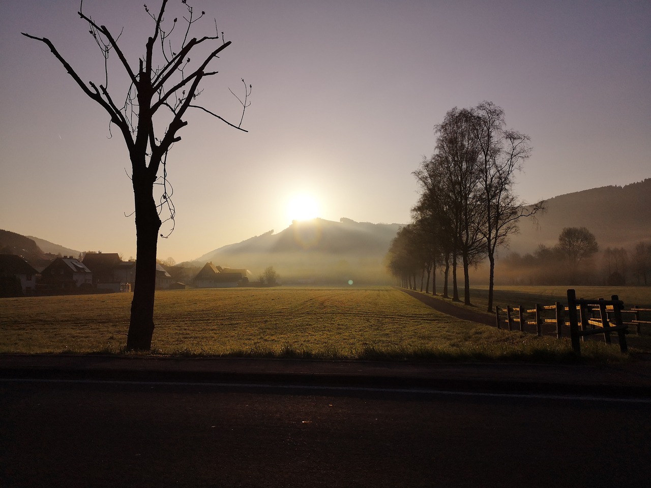 landscape  nature  fields free photo