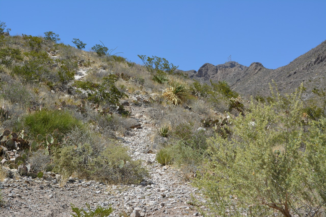 landscape desert mountain free photo