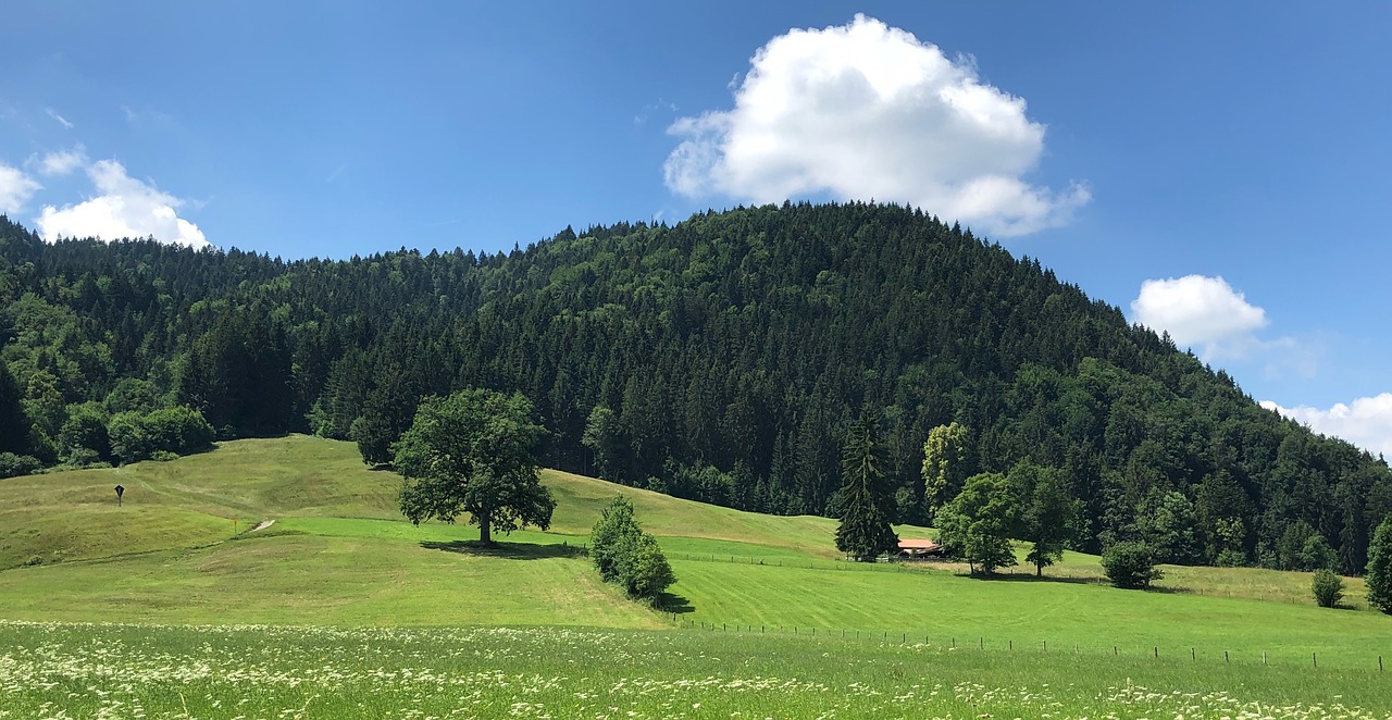 landscape  sky  clouds free photo