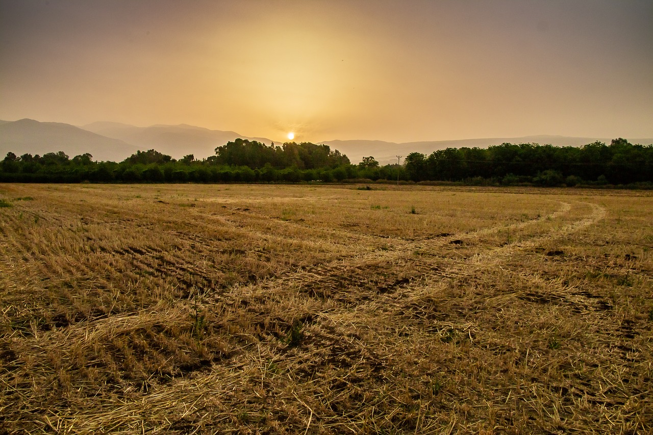 landscape  sunrise  field free photo