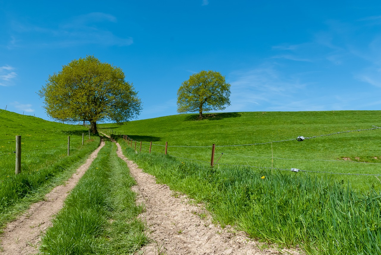 landscape  normandy  france free photo