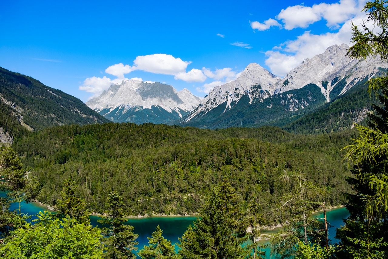 landscape  alpine  mountains free photo