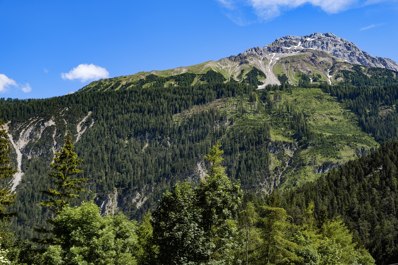 landscape  alpine  mountains free photo