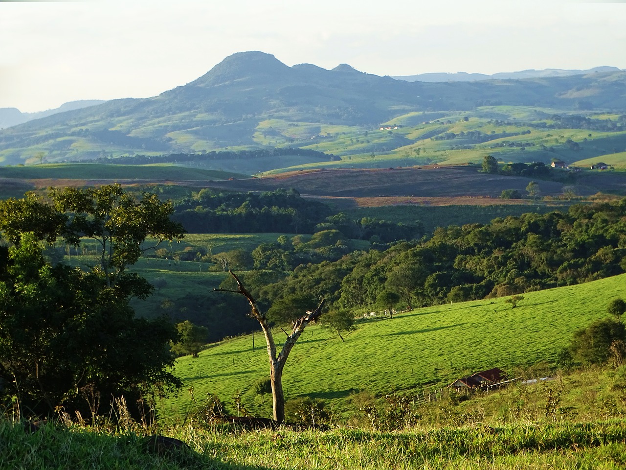 landscape  field  nature free photo