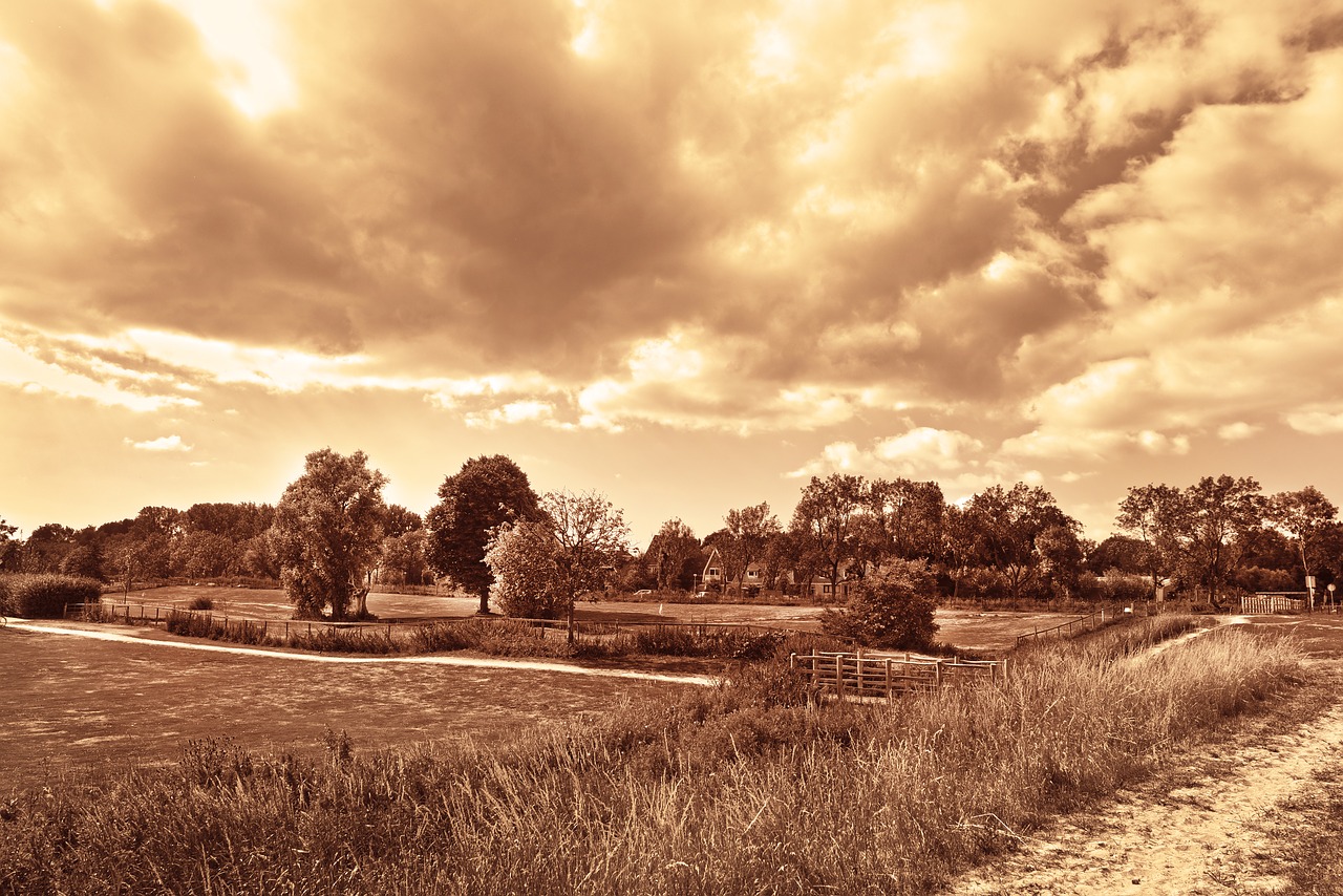 landscape  dutch landscape  rural free photo