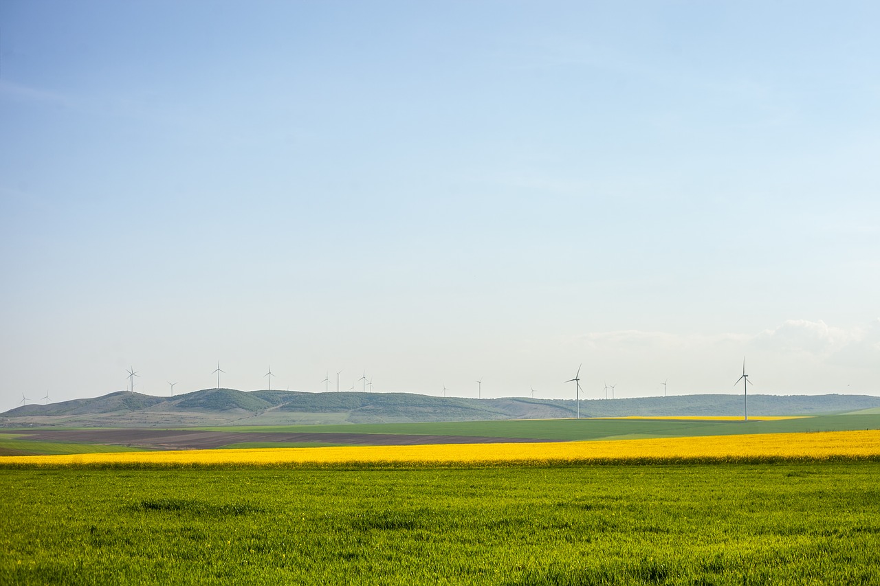 landscape  summer  sunny free photo