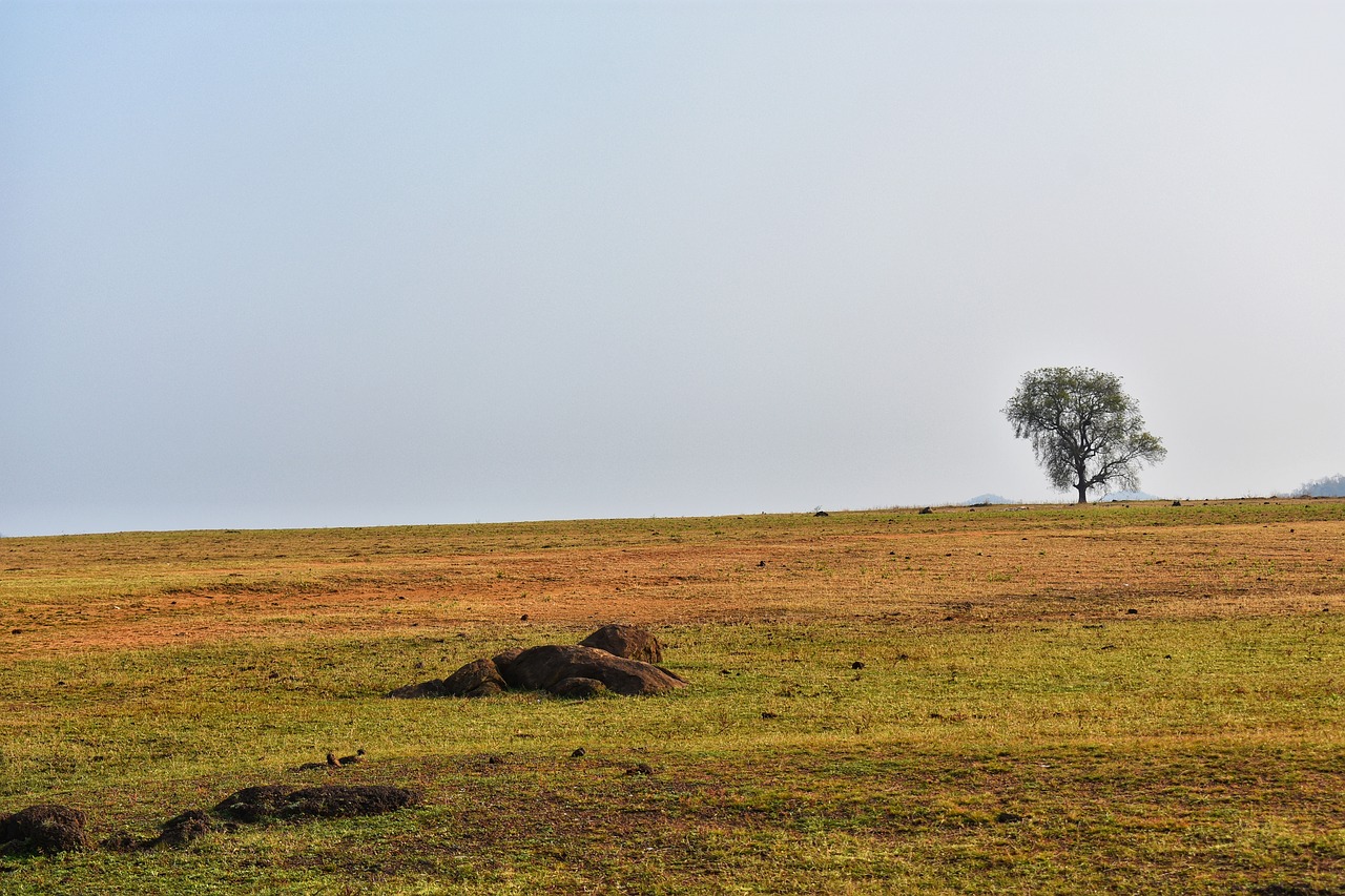 landscape  balod  chhattisgarh free photo