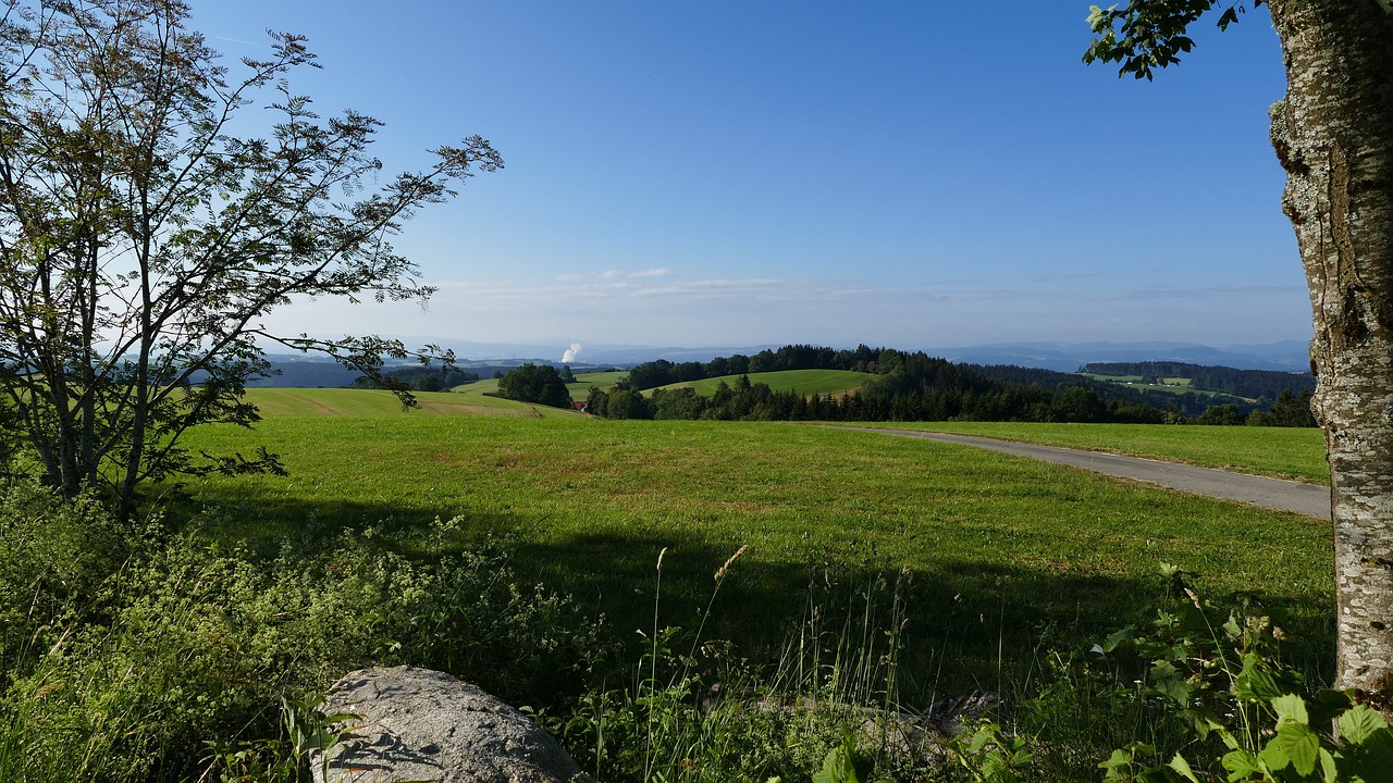 landscape  nature  black forest free photo