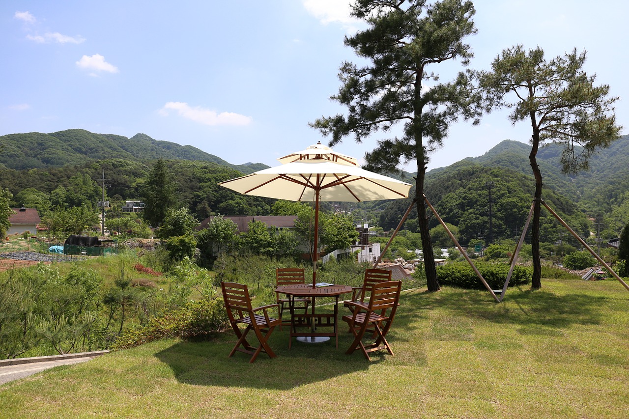 landscape yard parasol free photo