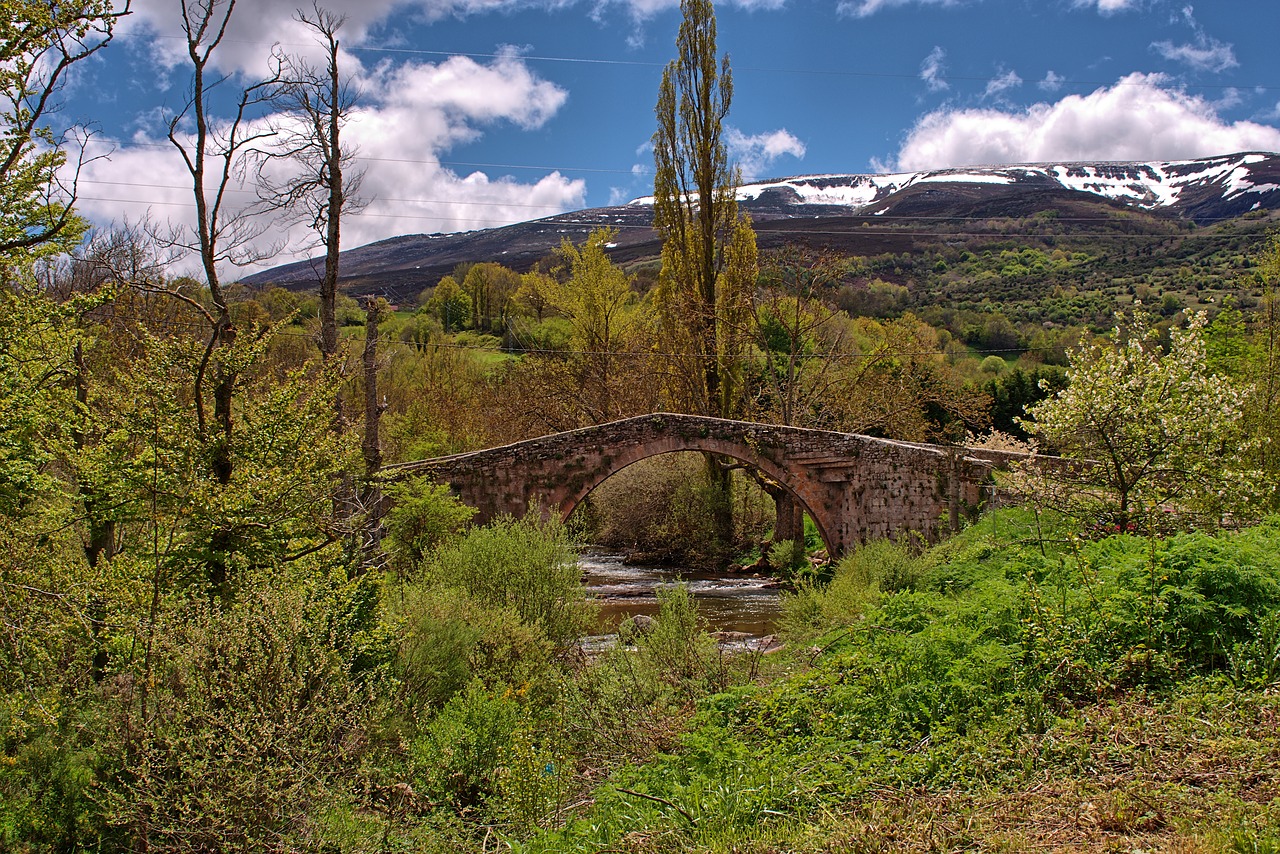 landscape  bridge  nature free photo