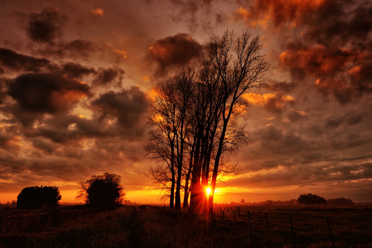 landscape  sunset  nature free photo