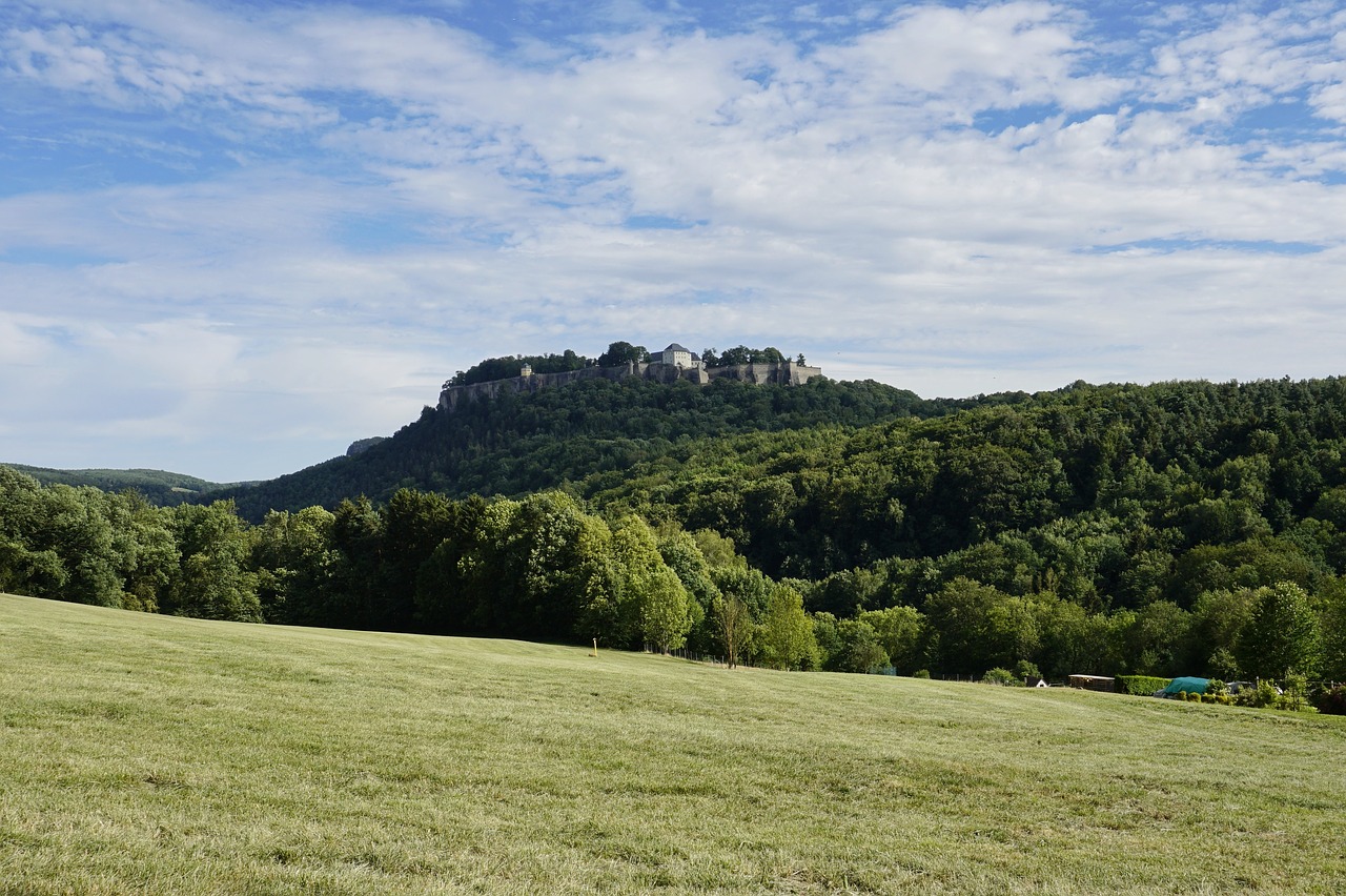 landscape  tree  nature free photo