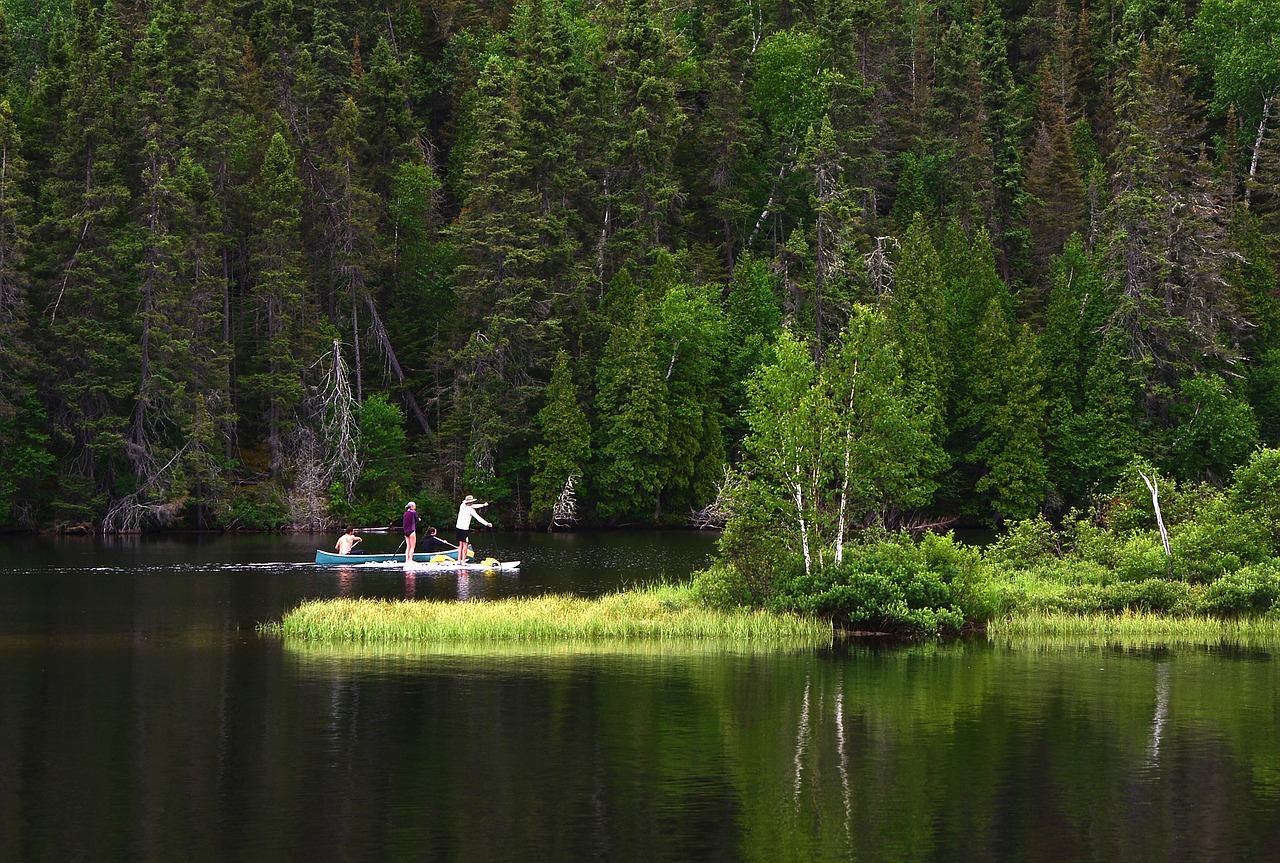 landscape  nature  lake free photo