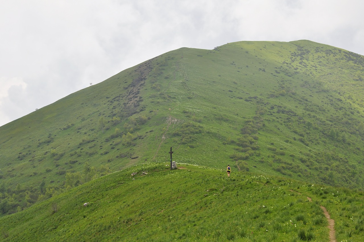 landscape  mountain  green free photo