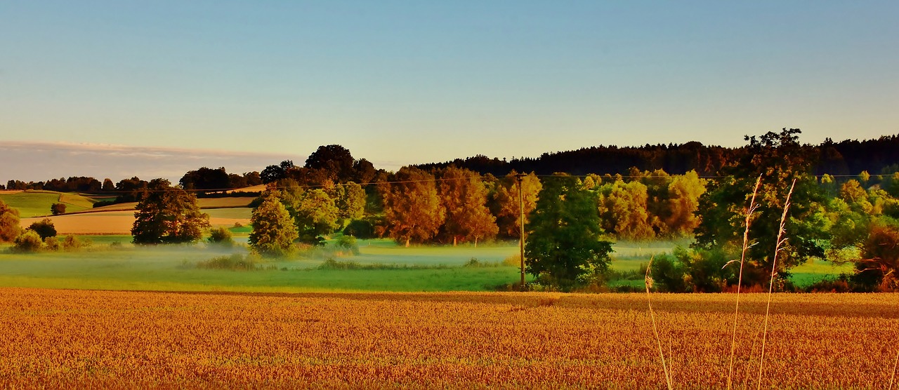 landscape  morning  fog free photo