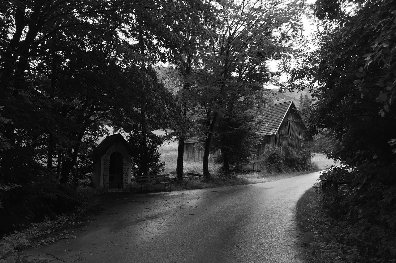 landscape  countryside  road free photo