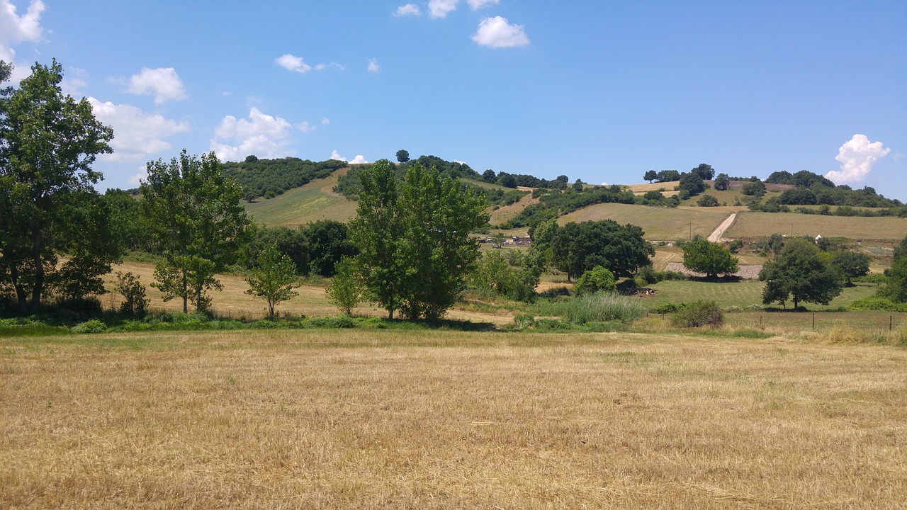 landscape  nature  sky free photo